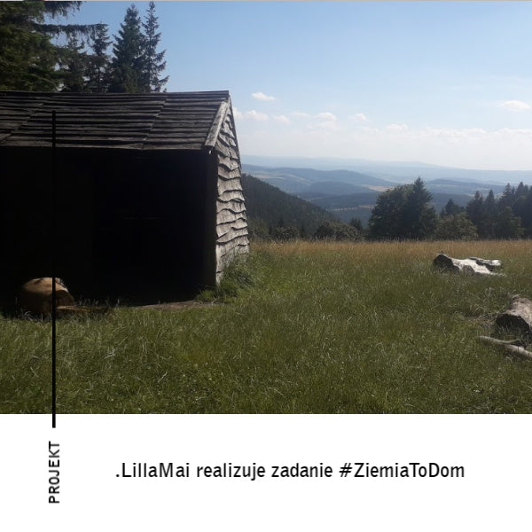 LillaMai realizuje zadanie #ZiemiaToDom