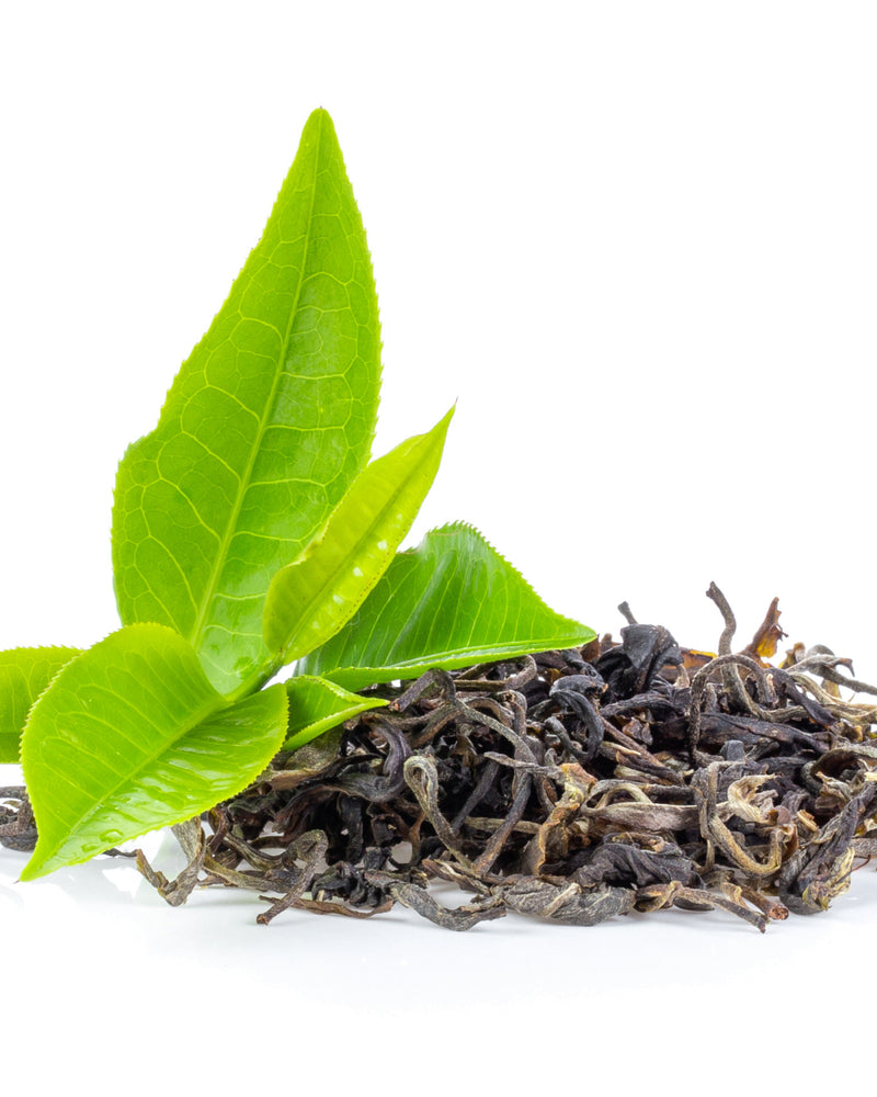 Ekstrakt z zielonej herbaty