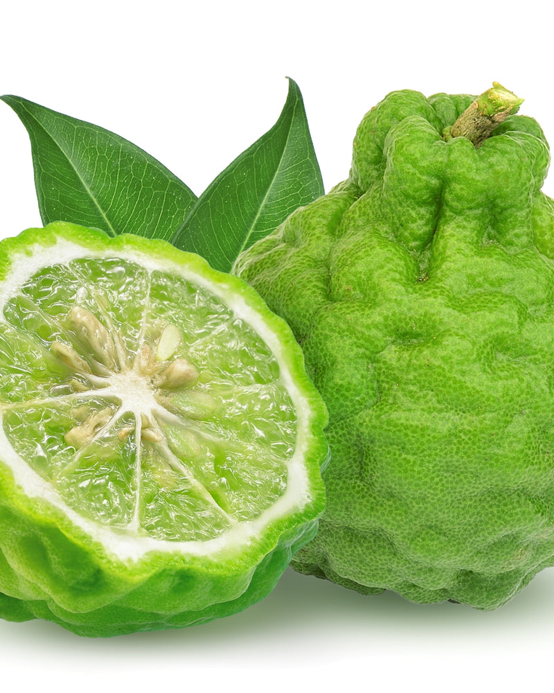 Ekstrakt z owoców pomarańczy bergamota