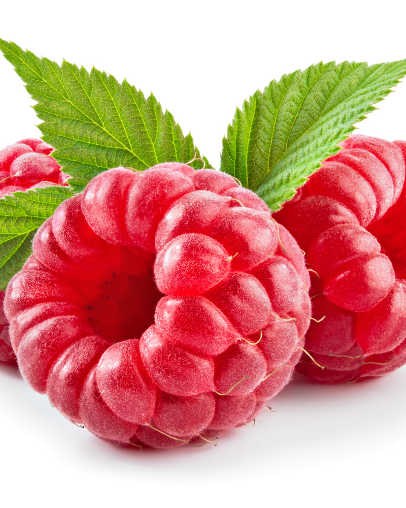 Ekstrakt z owoców malin