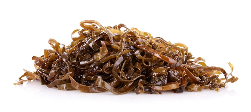 Alga Laminaria Digitata